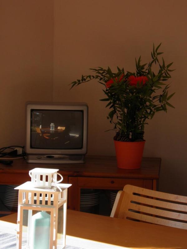 Maremmare Tuscany Apartments Principina a Mare Kültér fotó