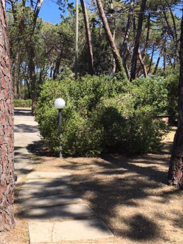 Maremmare Tuscany Apartments Principina a Mare Kültér fotó